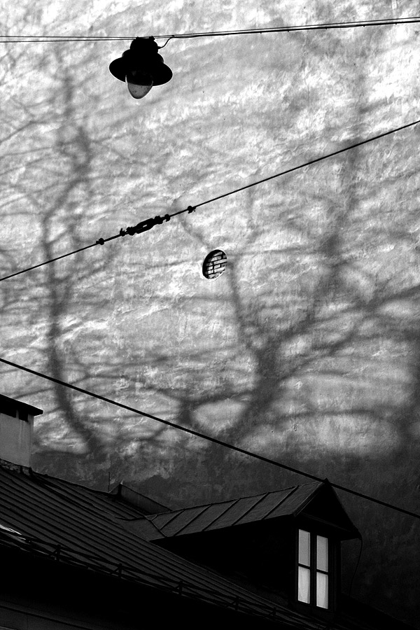 Photography by dratzzi for DesignCrowd (Community Contests) | Design #9018253