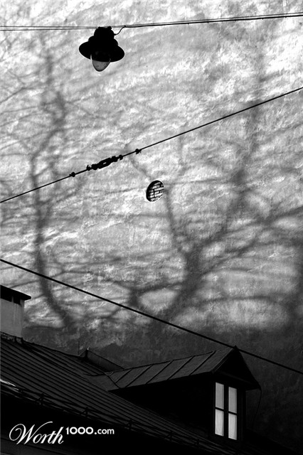 Photography by dratzzi