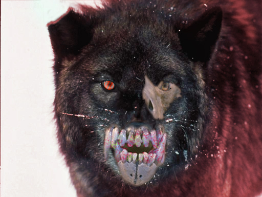 Diseño de Photoshop por loudsilence para DesignCrowd (Community Contests) | Diseño #9023293