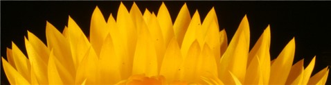 Photography by photoaday