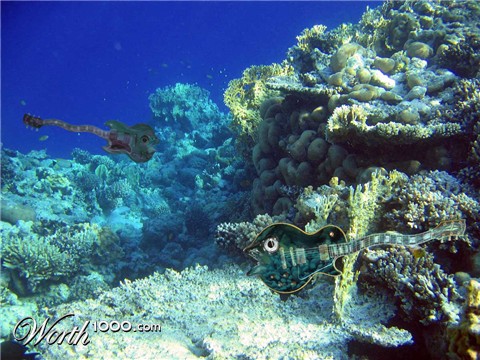 Photoshop Design by adrianrorheim