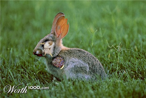 Photoshop Design by NothingsNowhere