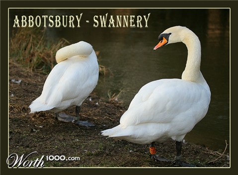 Photography by fatheroftwo