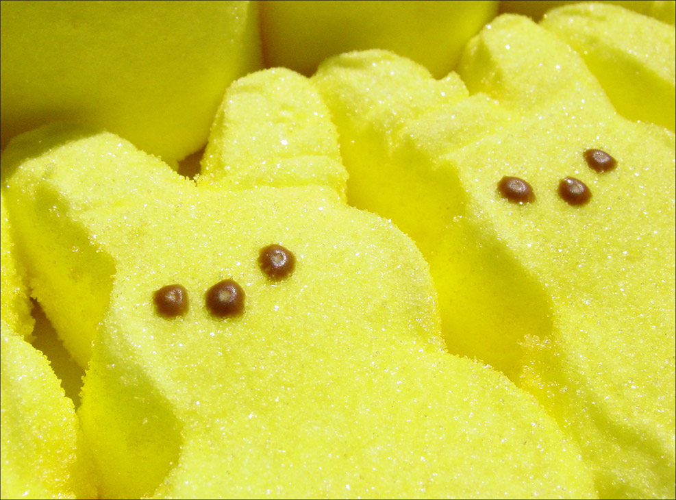 Photography by mysterio for DesignCrowd (Community Contests) | Design #9016026