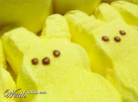 Photography by mysterio