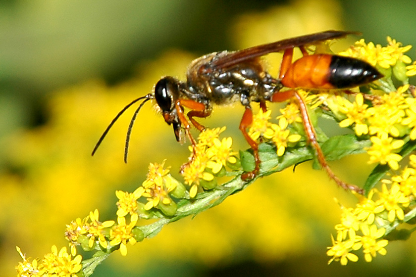 Photographie par jachang pour DesignCrowd (Community Contests) | Design #9016029