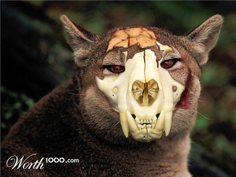 Photoshop Design by BigMets