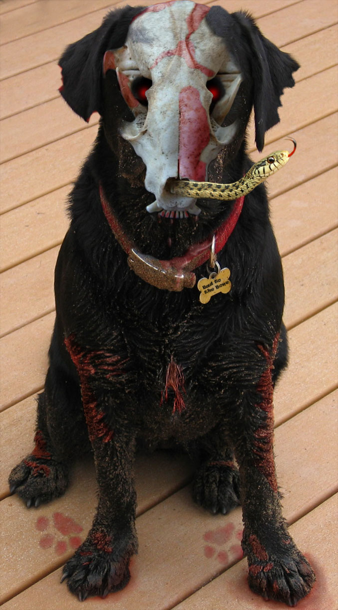 Diseño de Photoshop por nome63 para DesignCrowd (Community Contests) | Diseño #9023311