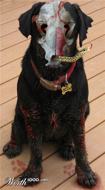 Photoshop Design by nome63