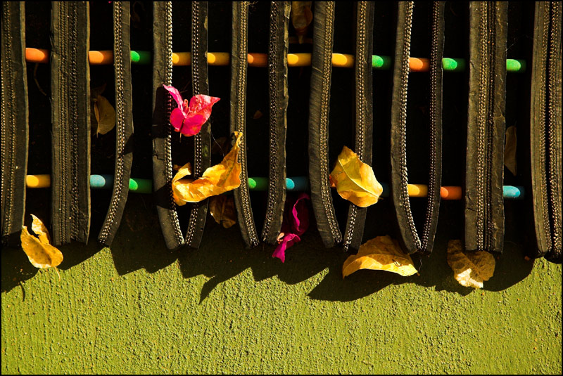 Fotografía por kimbomac para DesignCrowd (Community Contests) | Diseño #9018297