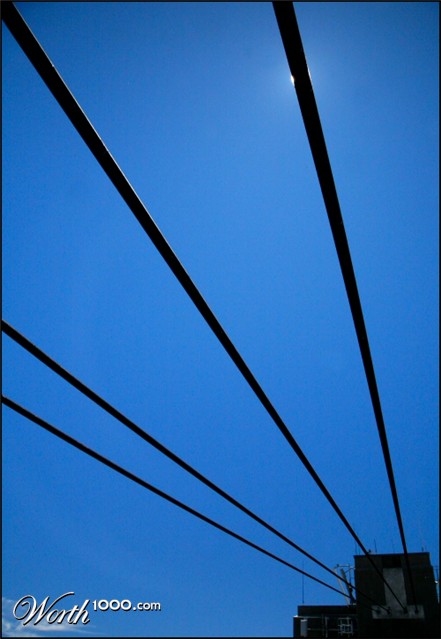 Photography by Juicer