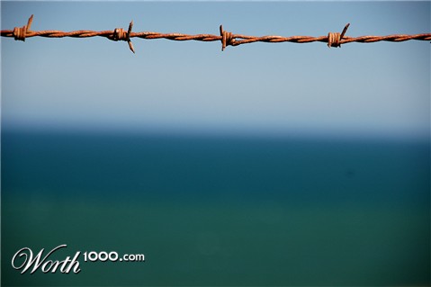 Photography by shazamataz