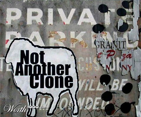 Photography by sbilchuk