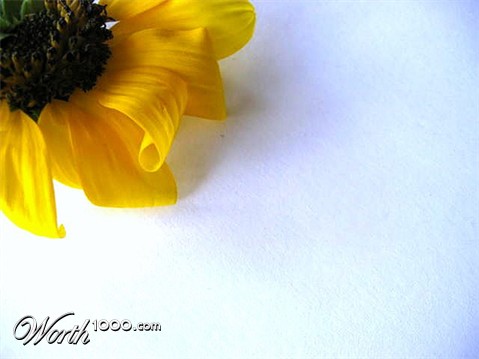 Photography by MissMea