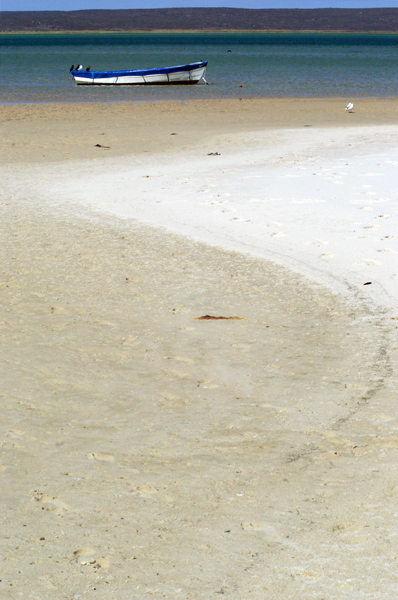 Photography by splong for DesignCrowd (Community Contests) | Design #9022392