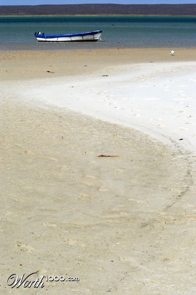 Photography by splong