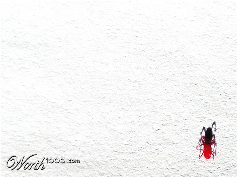 Photography by Firenzesca