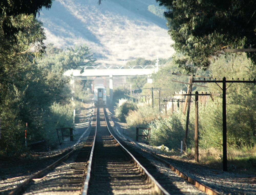 Photography by Larvice for DesignCrowd (Community Contests) | Design #9019962