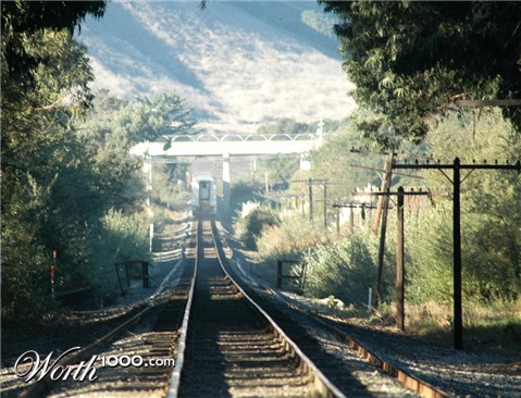 Photography by Larvice