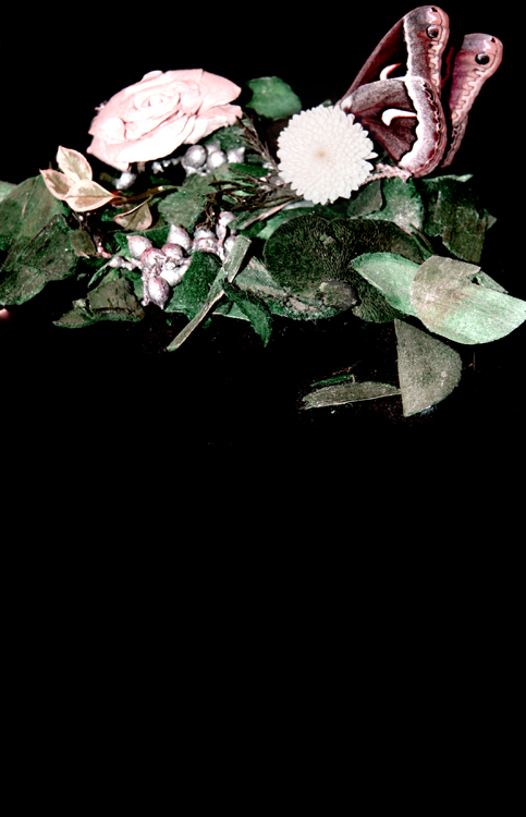 Photographie par P37R0V pour DesignCrowd (Community Contests) | Design #9022402