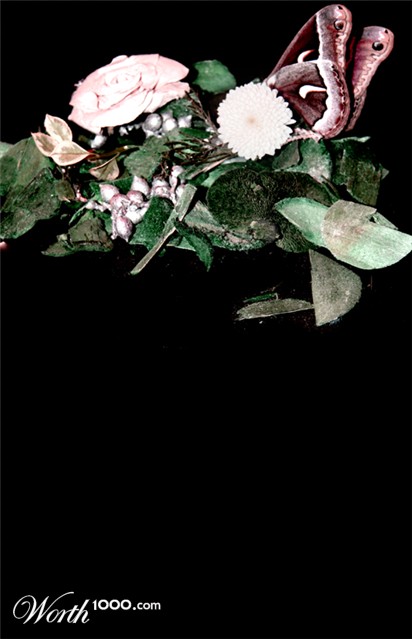 Photography by P37R0V