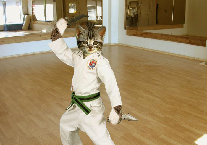 Photoshop Design by xxxarian for DesignCrowd (Community Contests) | Design #9017890