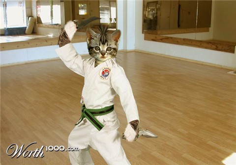 Photoshop Design by xxxarian