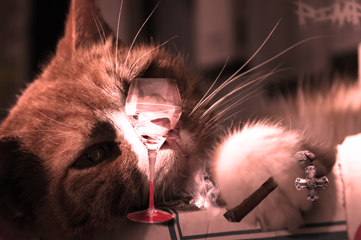 Photoshop Design by makubex for DesignCrowd (Community Contests) | Design #9017889