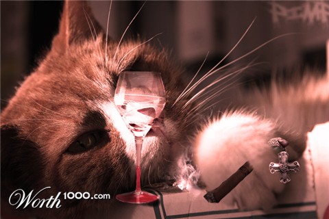 Photoshop Design by makubex