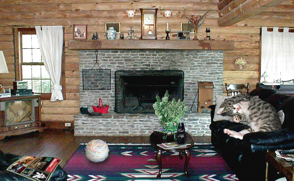 Diseño de Photoshop por northman para DesignCrowd (Community Contests) | Diseño #9017886