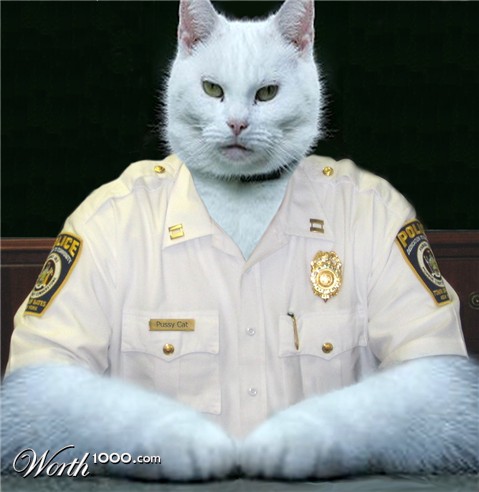 Photoshop Design by Eladine