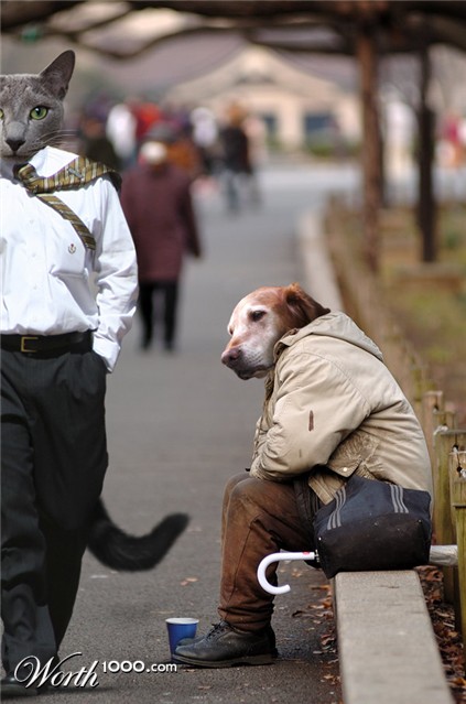 Photoshop Design by JavierPhoto