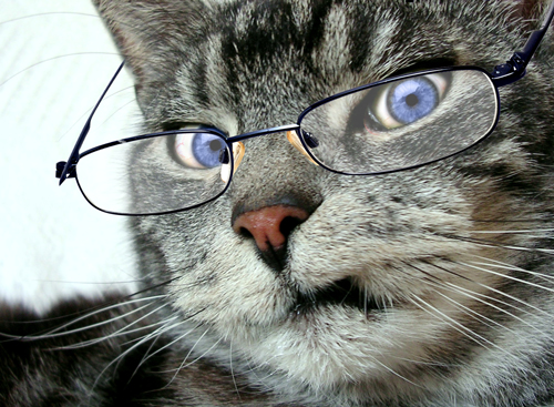 Diseño de Photoshop por mattbyng para DesignCrowd (Community Contests) | Diseño #9016826