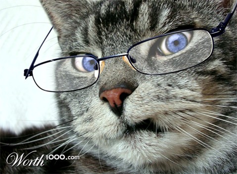 Photoshop Design by mattbyng