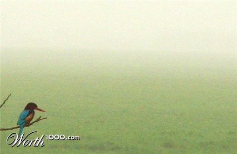 Photography by GreyElf