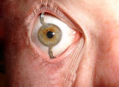 Diseño de Photoshop por machacasaurio para DesignCrowd (Community Contests) | Diseño #9016859