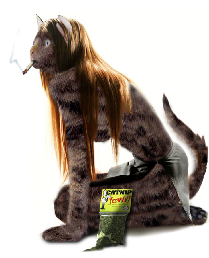 Diseño de Photoshop por Terrence para DesignCrowd (Community Contests) | Diseño #9017934