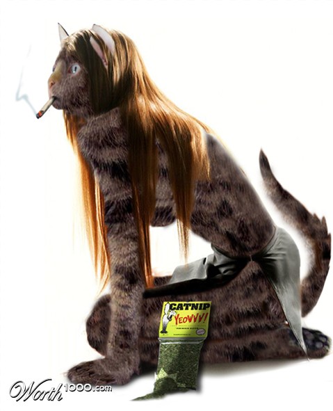 Photoshop Design by Terrence