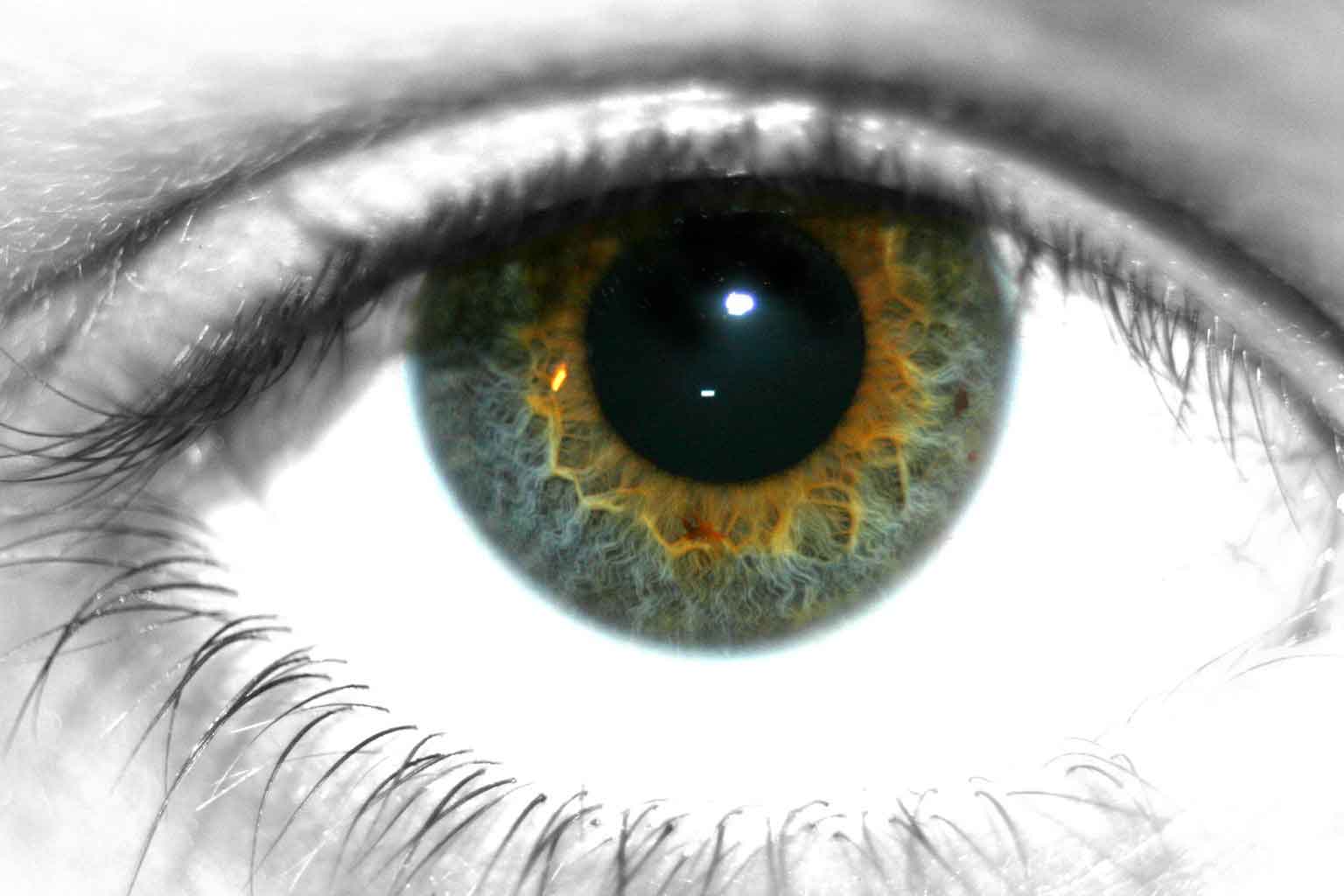 Diseño de Photoshop por TrueAiR para DesignCrowd (Community Contests) | Diseño #9016873