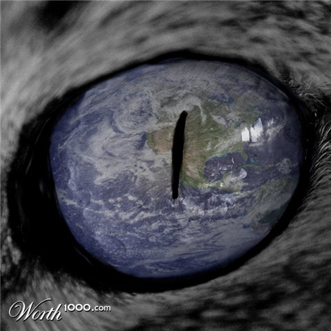 Photoshop Design by ShadyAlaska