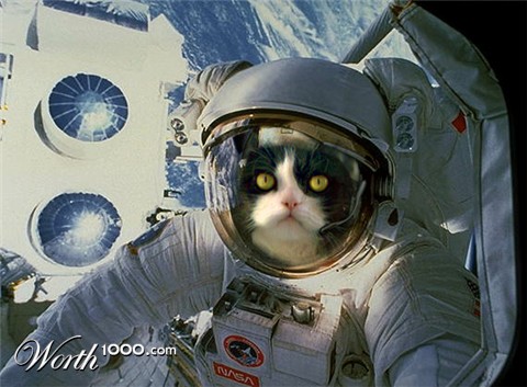 Photoshop Design by makstel