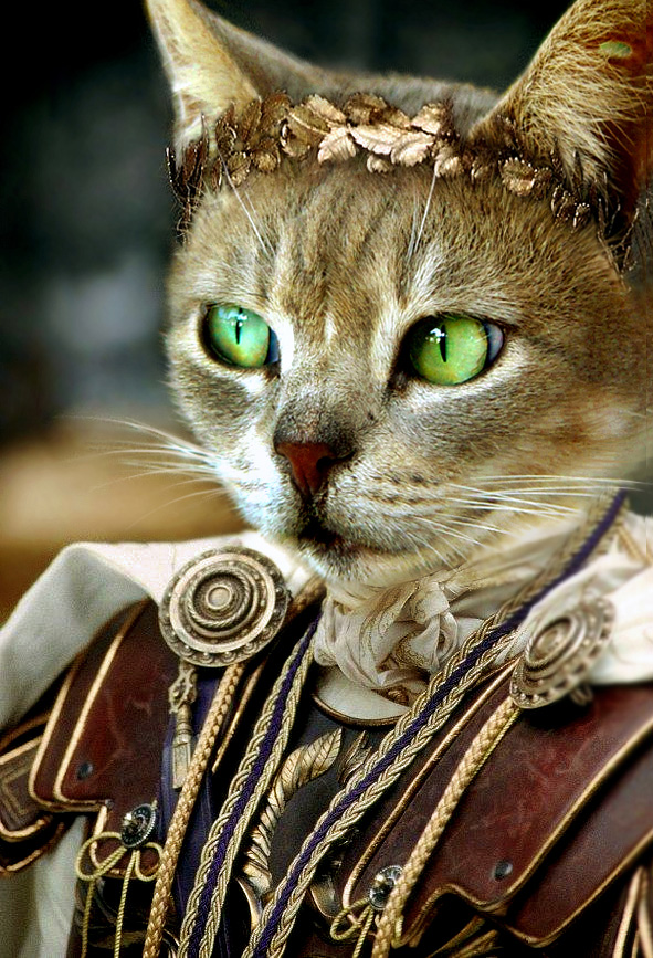 Design Photoshop par Koosricardo pour DesignCrowd (Community Contests) | Design #9017957