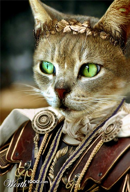 Photoshop Design by Koosricardo