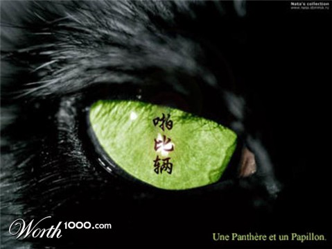 Photoshop Design by Papillon65