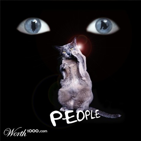 Photoshop Design by RachelB