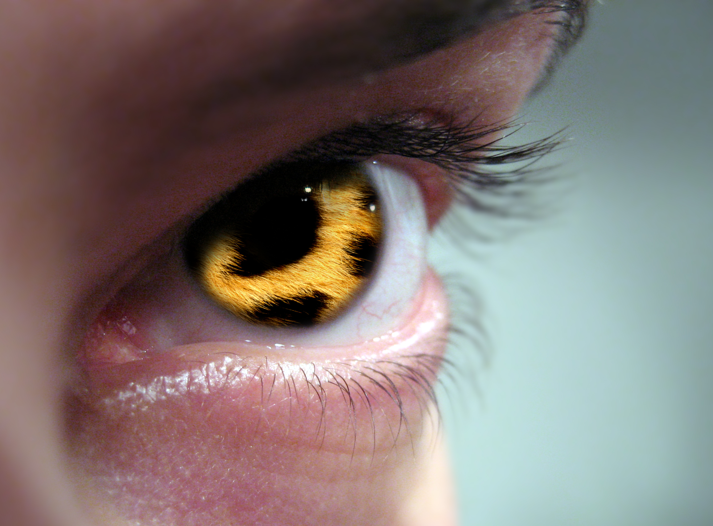 Diseño de Photoshop por pflout para DesignCrowd (Community Contests) | Diseño #9016912