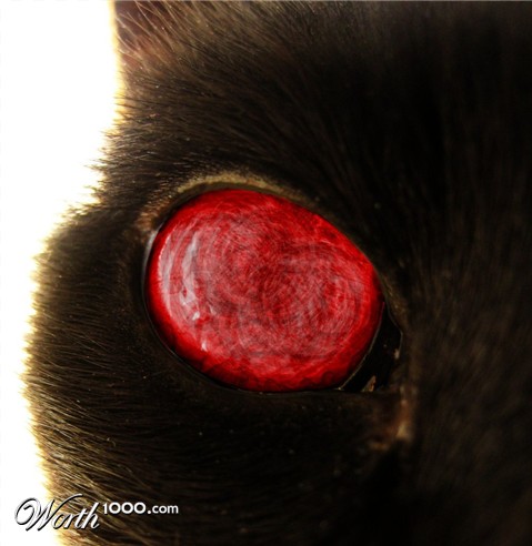 Photoshop Design by narfpie