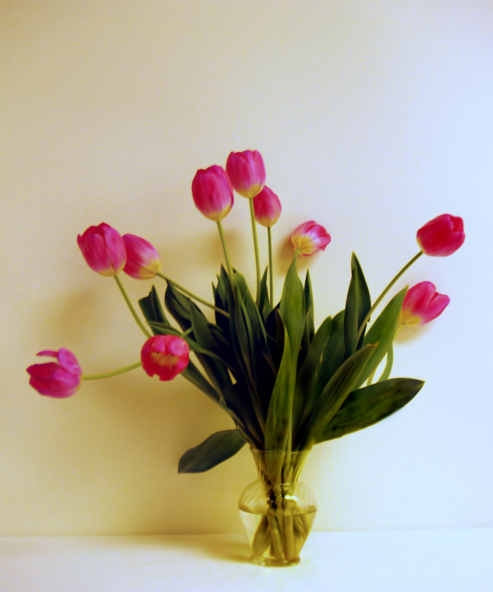 Photography by Brat68 for DesignCrowd (Community Contests) | Design #9022494