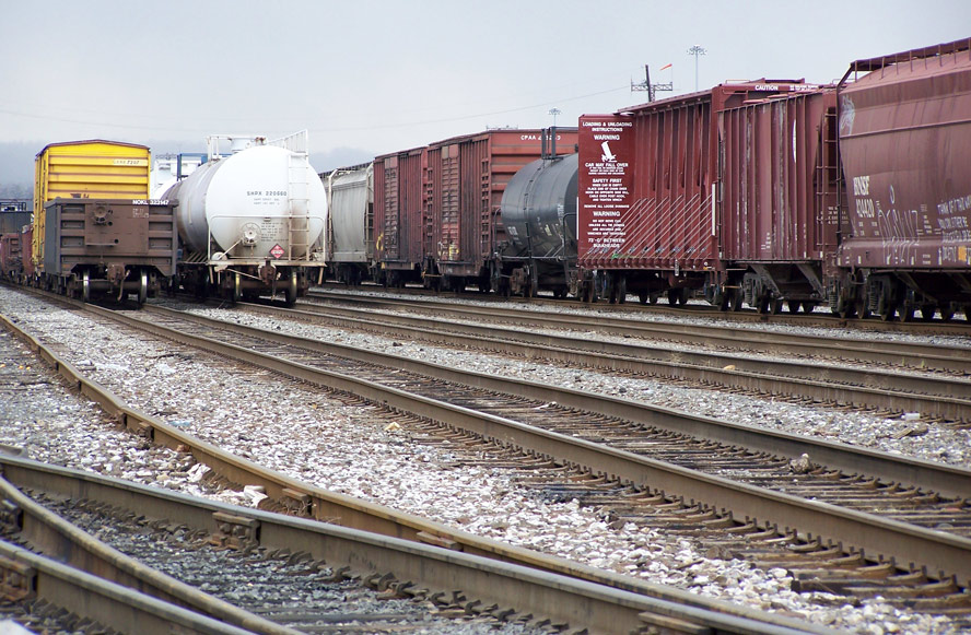 Photography by kat426 for DesignCrowd (Community Contests) | Design #9020068