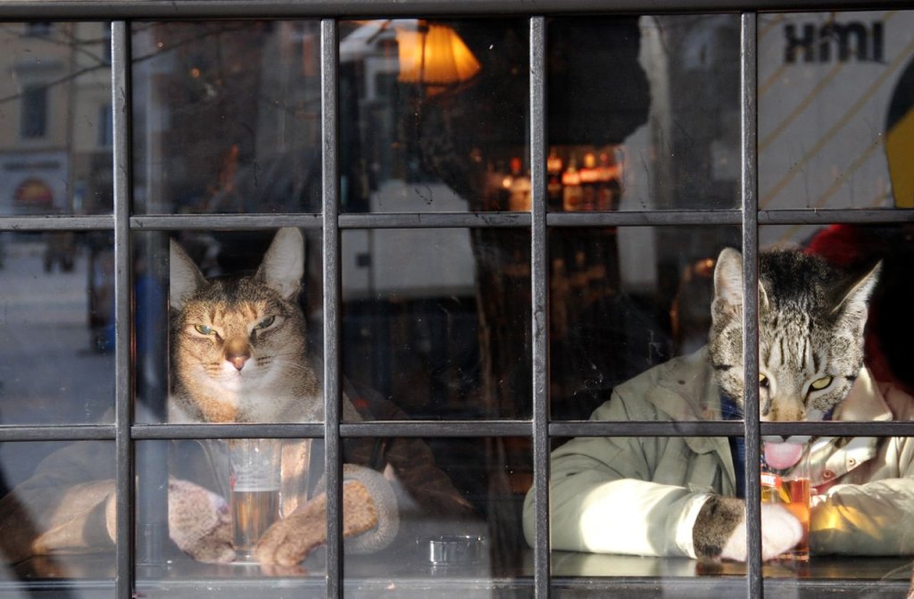 Photoshop-Design von DoctorTweek für DesignCrowd (Community Contests) | Design #9017998